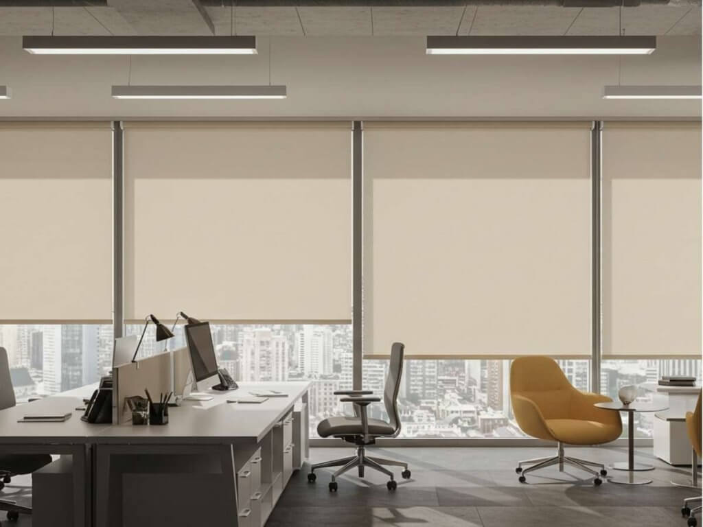 Roller-Shades-in-a-Business-Office-1024x768